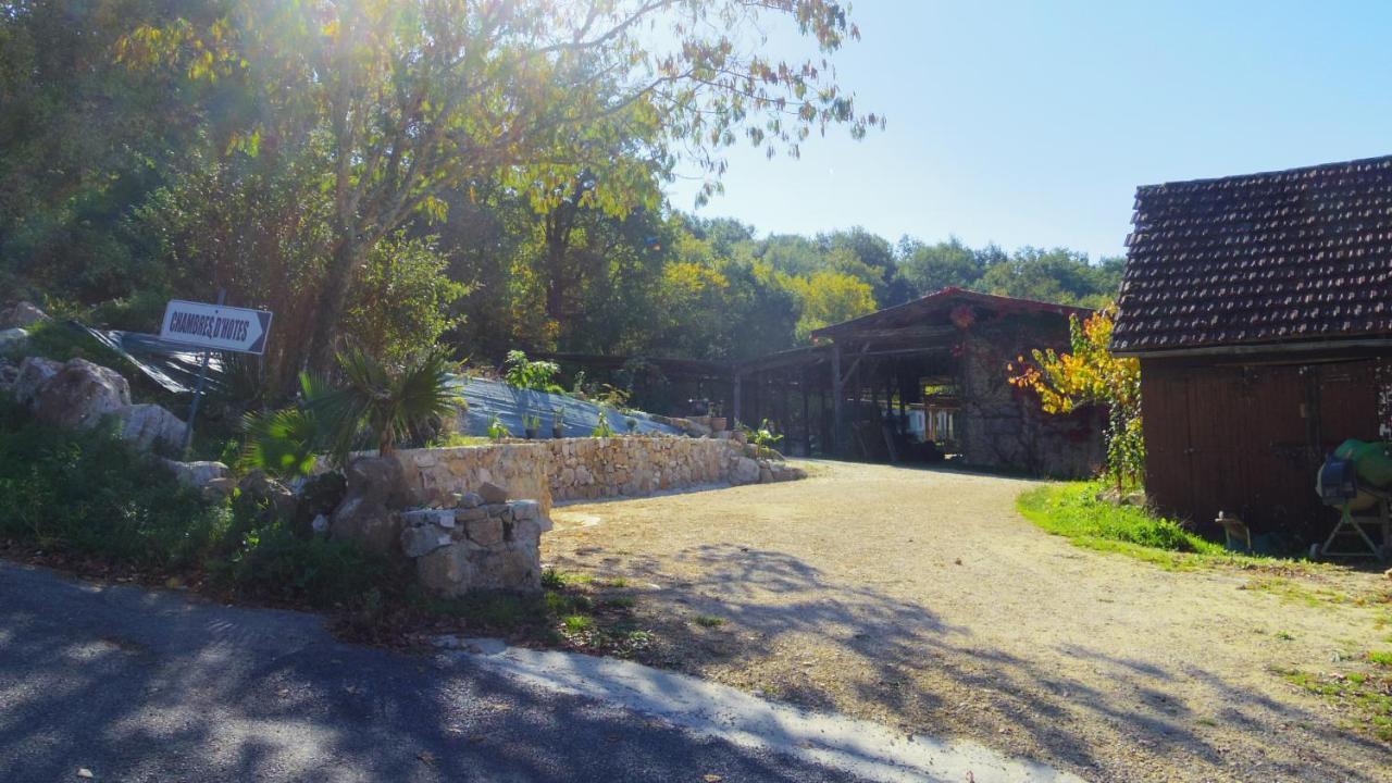 Zen Bed & Breakfast Domme Dış mekan fotoğraf