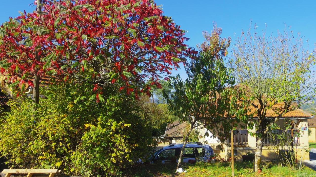 Zen Bed & Breakfast Domme Dış mekan fotoğraf